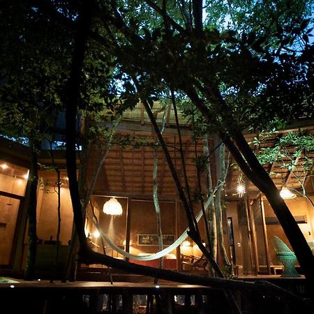 Ojo De Arbol, Boutique Cabin In The Real Jungle 图卢姆 外观 照片