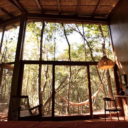 Ojo De Arbol, Boutique Cabin In The Real Jungle 图卢姆 外观 照片