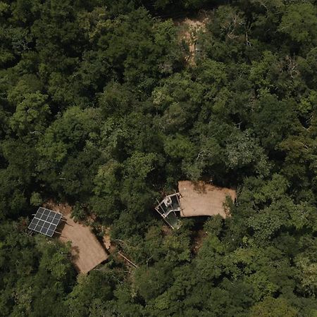 Ojo De Arbol, Boutique Cabin In The Real Jungle 图卢姆 外观 照片