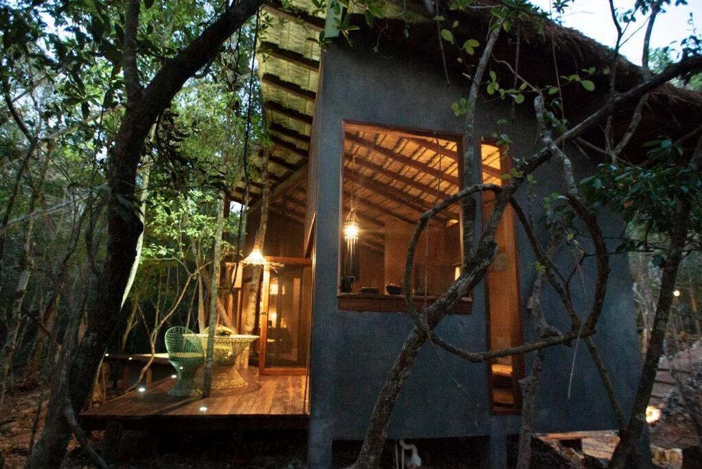 Ojo De Arbol, Boutique Cabin In The Real Jungle 图卢姆 外观 照片