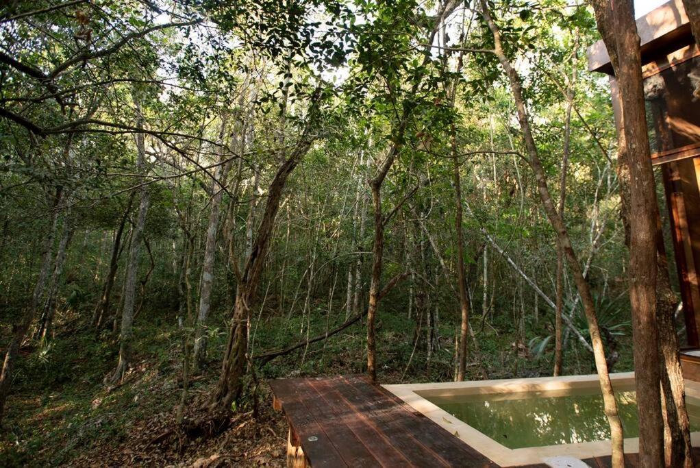Ojo De Arbol, Boutique Cabin In The Real Jungle 图卢姆 外观 照片