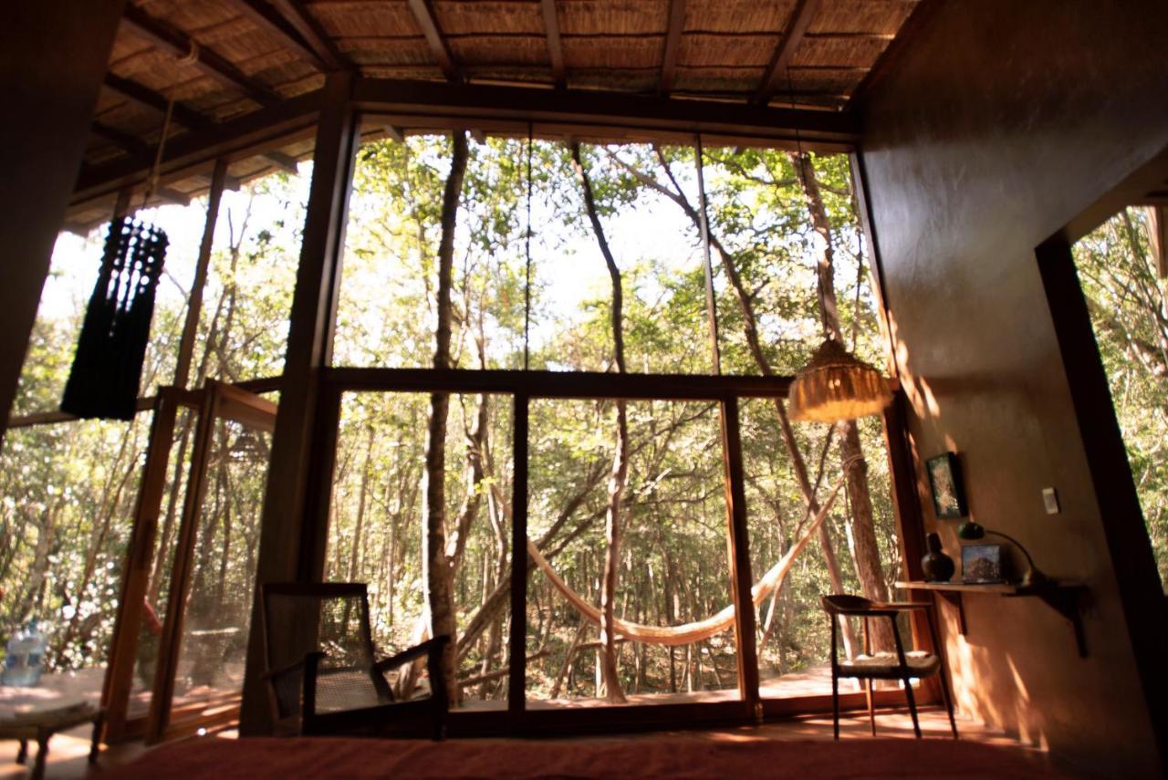 Ojo De Arbol, Boutique Cabin In The Real Jungle 图卢姆 外观 照片