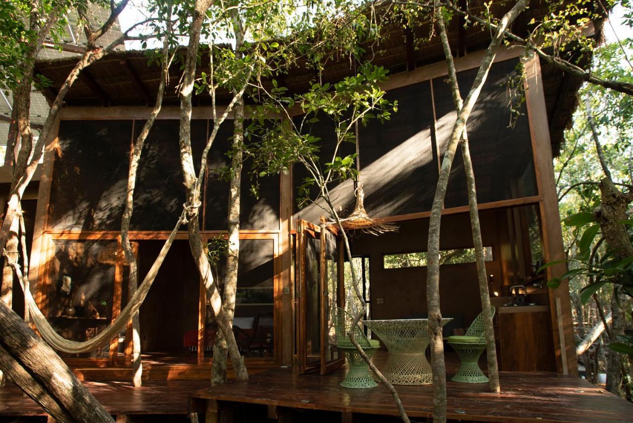 Ojo De Arbol, Boutique Cabin In The Real Jungle 图卢姆 外观 照片