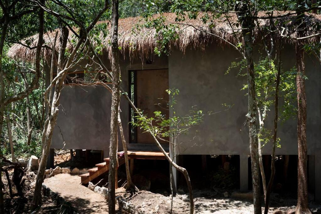 Ojo De Arbol, Boutique Cabin In The Real Jungle 图卢姆 外观 照片