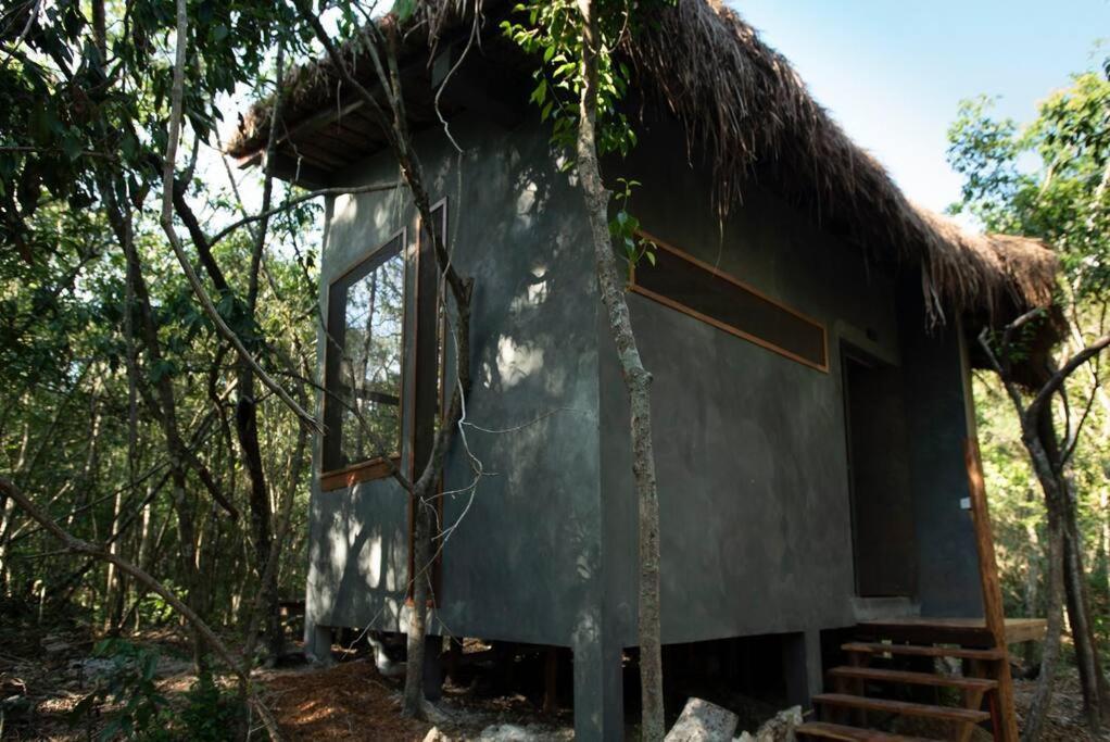 Ojo De Arbol, Boutique Cabin In The Real Jungle 图卢姆 外观 照片