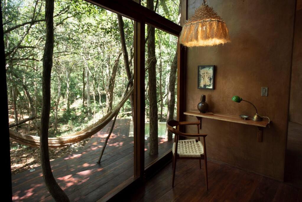 Ojo De Arbol, Boutique Cabin In The Real Jungle 图卢姆 外观 照片
