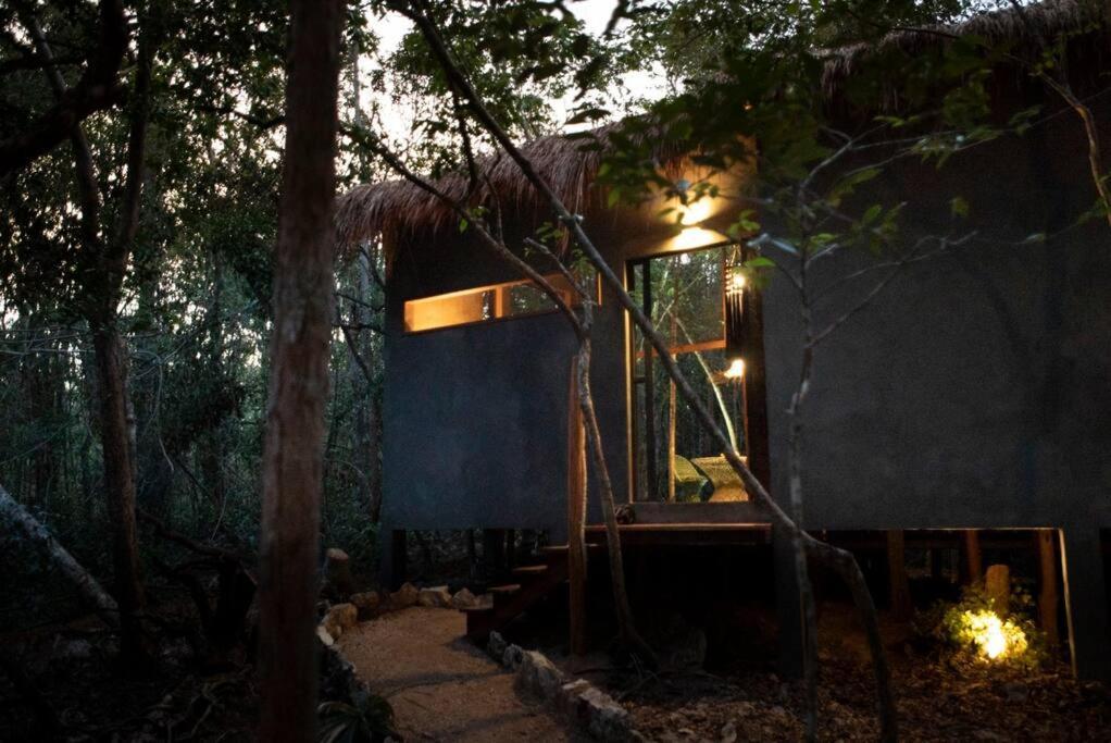 Ojo De Arbol, Boutique Cabin In The Real Jungle 图卢姆 外观 照片