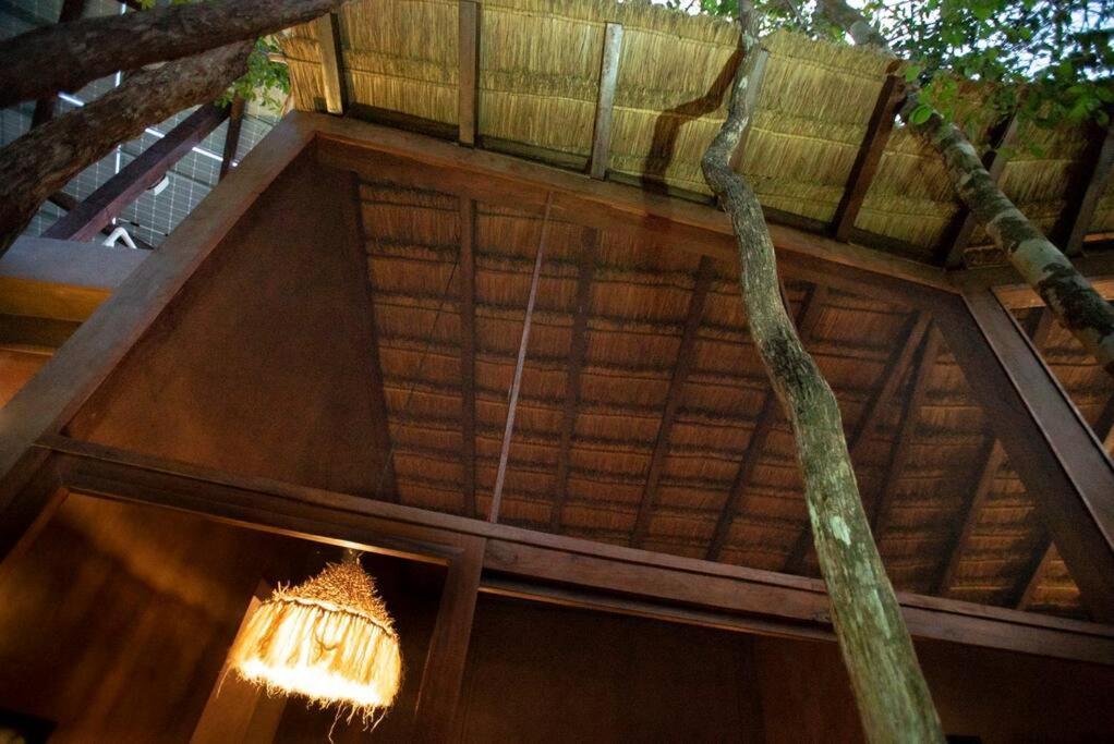 Ojo De Arbol, Boutique Cabin In The Real Jungle 图卢姆 外观 照片