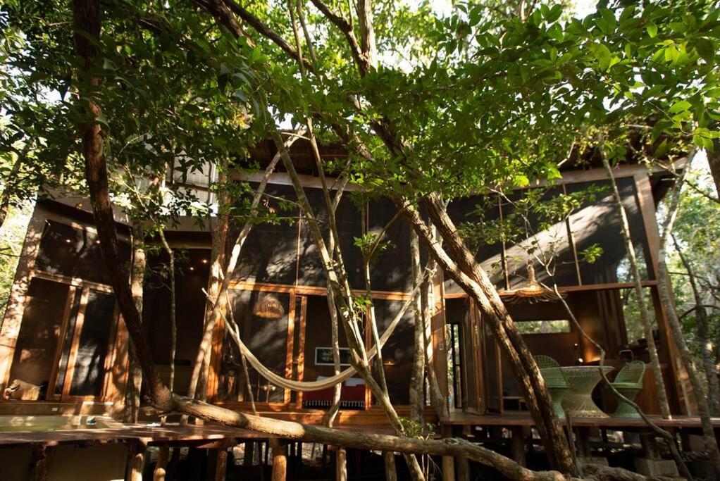 Ojo De Arbol, Boutique Cabin In The Real Jungle 图卢姆 外观 照片