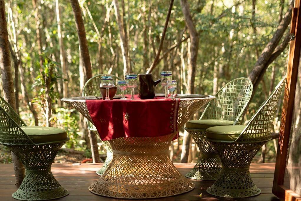 Ojo De Arbol, Boutique Cabin In The Real Jungle 图卢姆 外观 照片